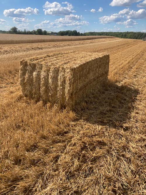 Hay, Straw and Grain Sales