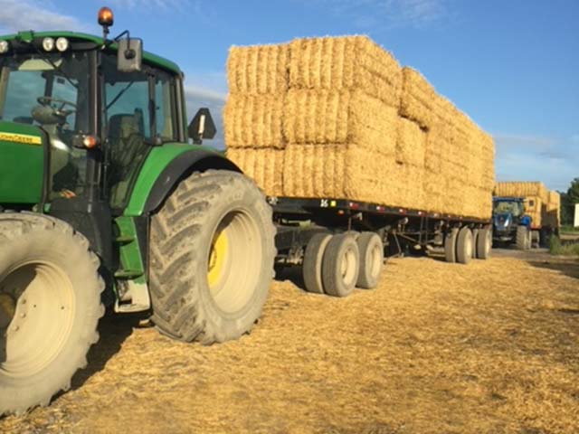 Hay Buyers Ontario Canada